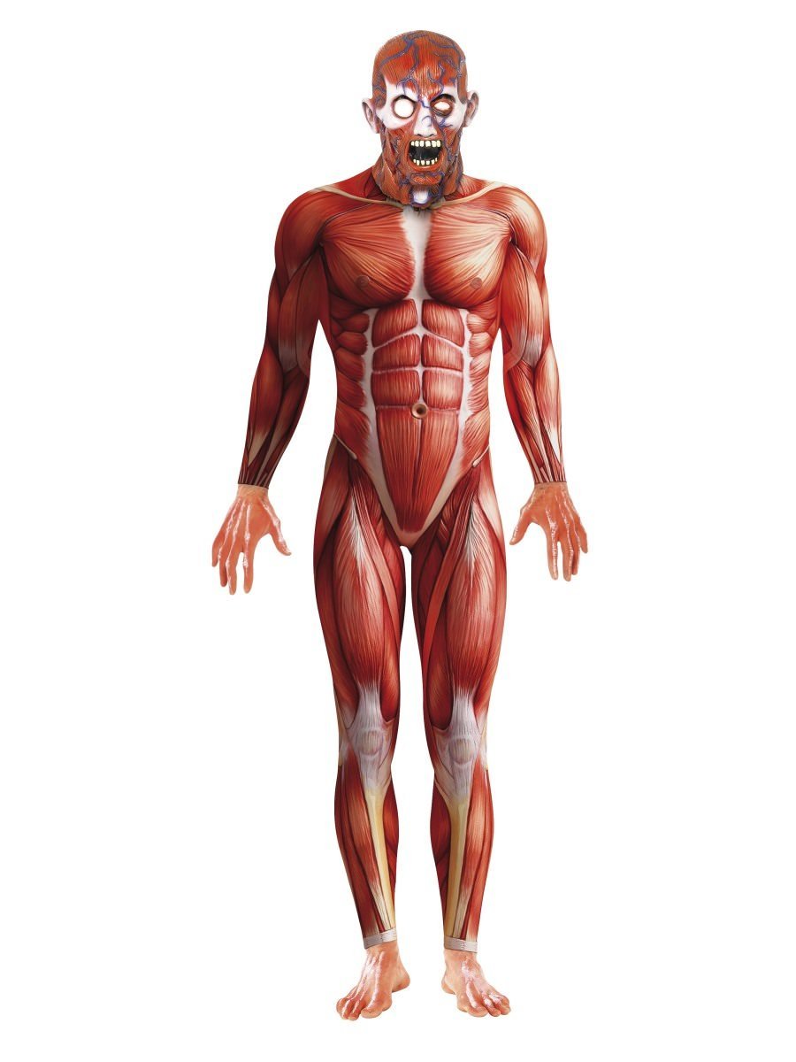 Anatomie Mann Kostüm (Rot)